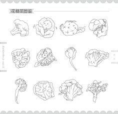 花瓣009采集到花瓣08