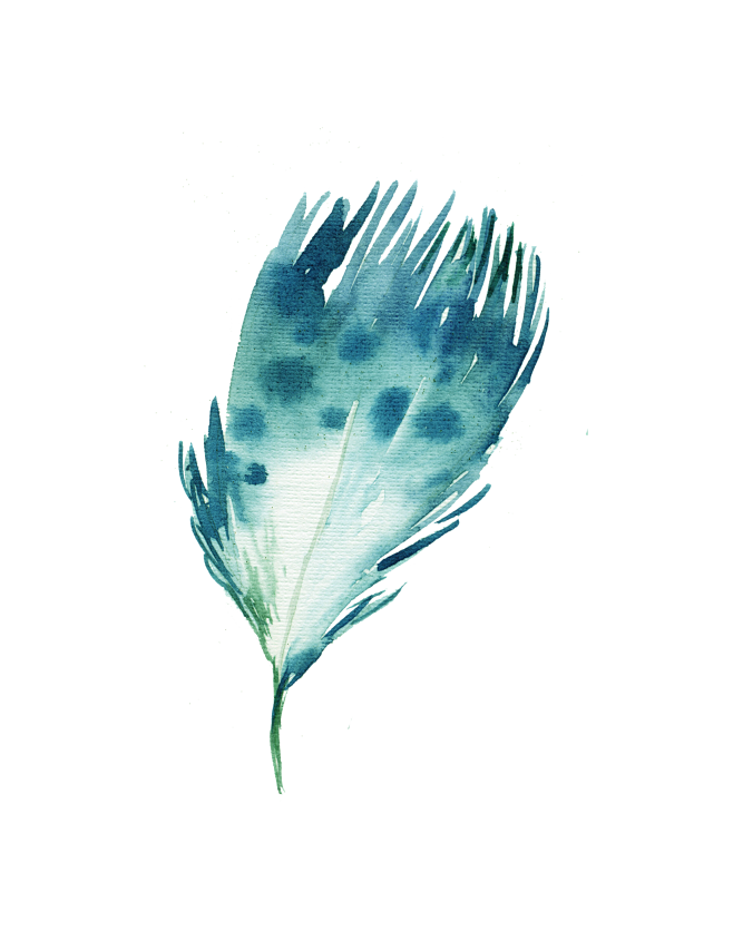 美羽毛 水彩素材 手绘素材 飘落#彩色羽毛#羽毛png#羽毛