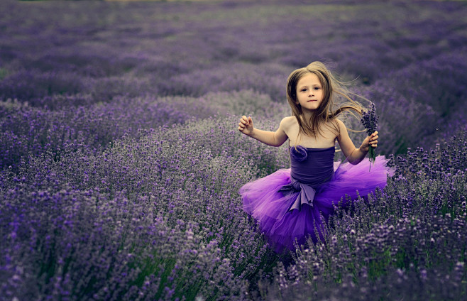 阿芙薰衣草女孩lavendergirl摄影师elenakaragyozova