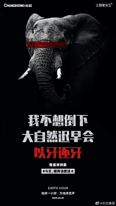 桃夭_Taoyao采集到电商设计/首页装修/活动页