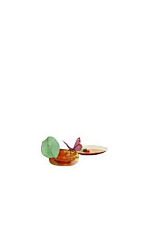 东城辞采集到古风·饰物