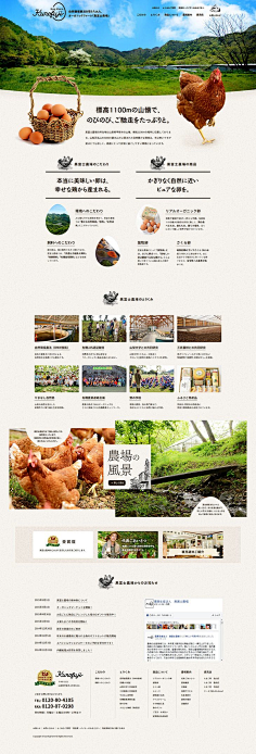 zoe~采集到WEB UI