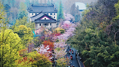 贼沓兮兮小磨菇采集到人在旅途