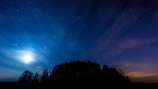 夜晚樹林星空風景壁紙