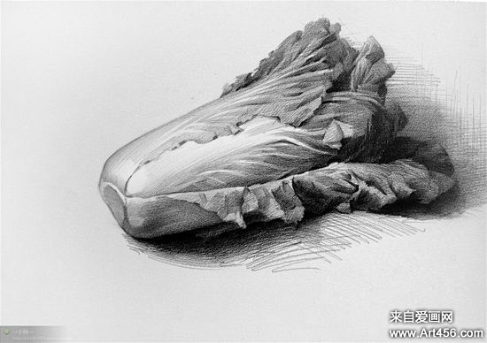 简单的明暗素描单个静物-素描作品