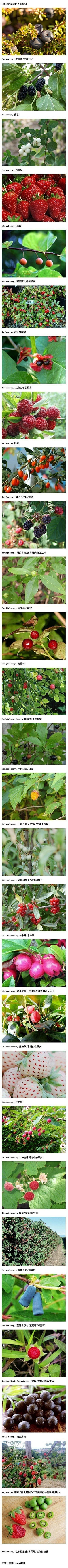 微英语采集到实用英语